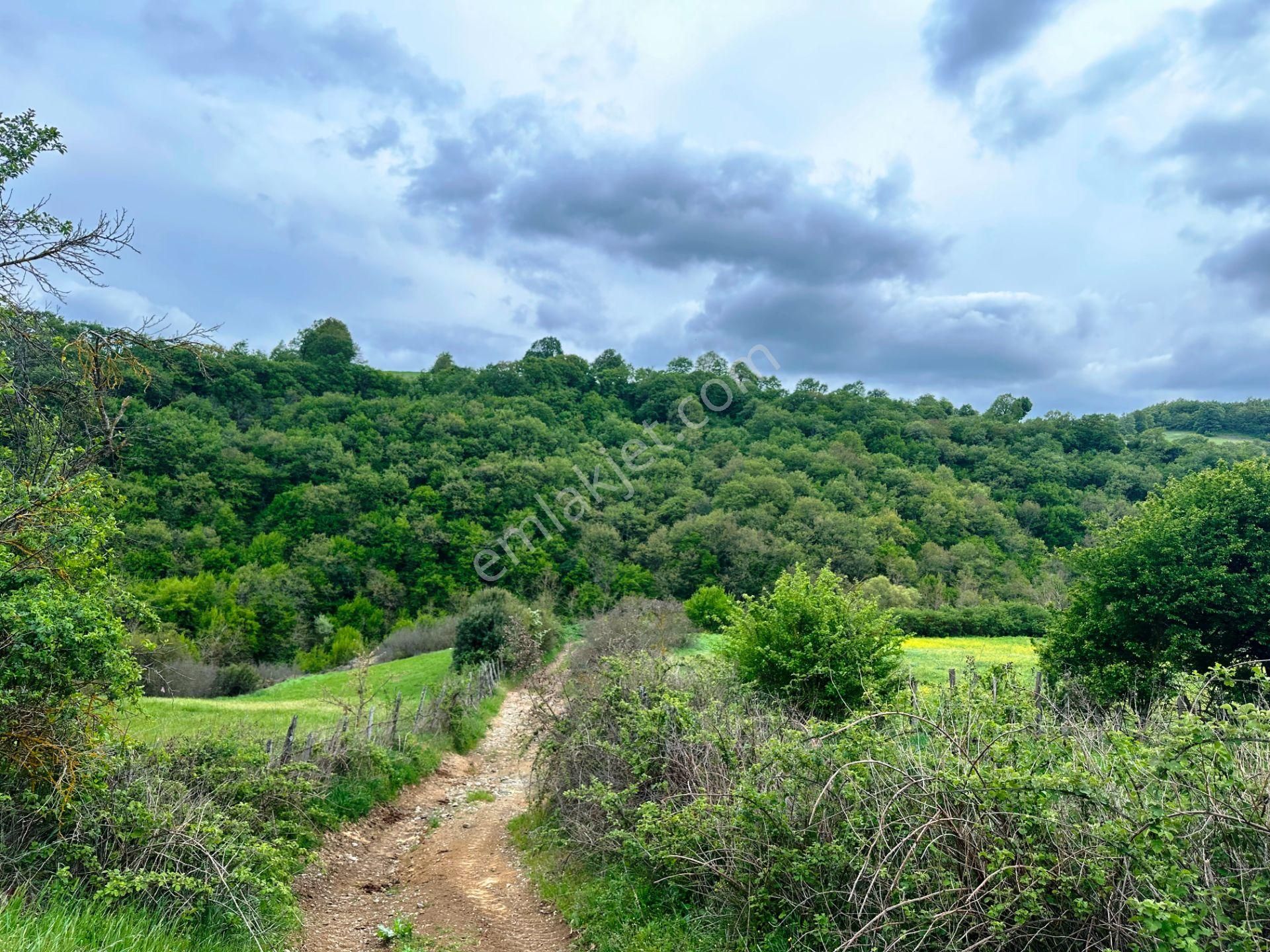 Çanakkale Bayramiç'de Yeni Otoban Yakınında 5.900m2 Satılık Arsa - Görsel 27