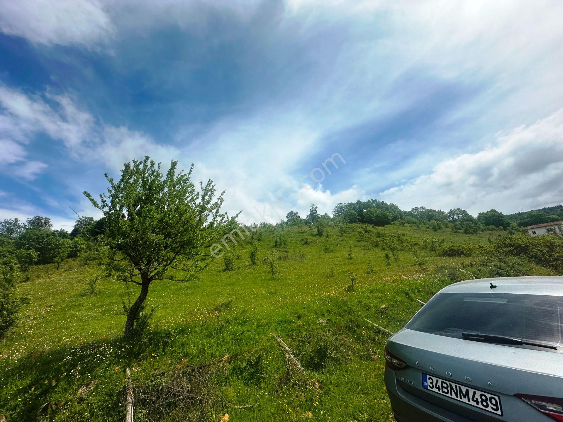 Çanakkale Bayramiç'de Yeni Otoban Yakınında 5.900m2 Satılık Arsa - Görsel 32
