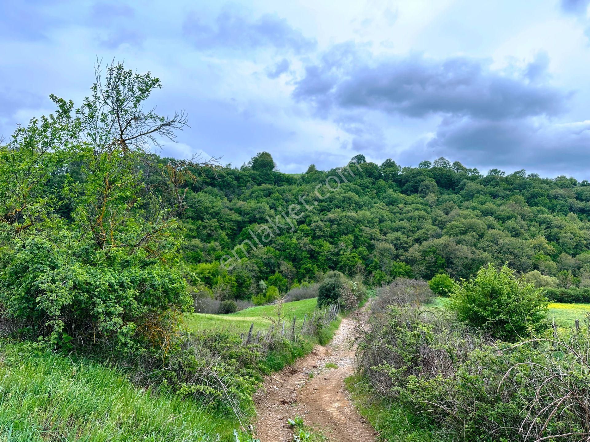 Çanakkale Bayramiç'de Yeni Otoban Yakınında 5.900m2 Satılık Arsa - Görsel 8