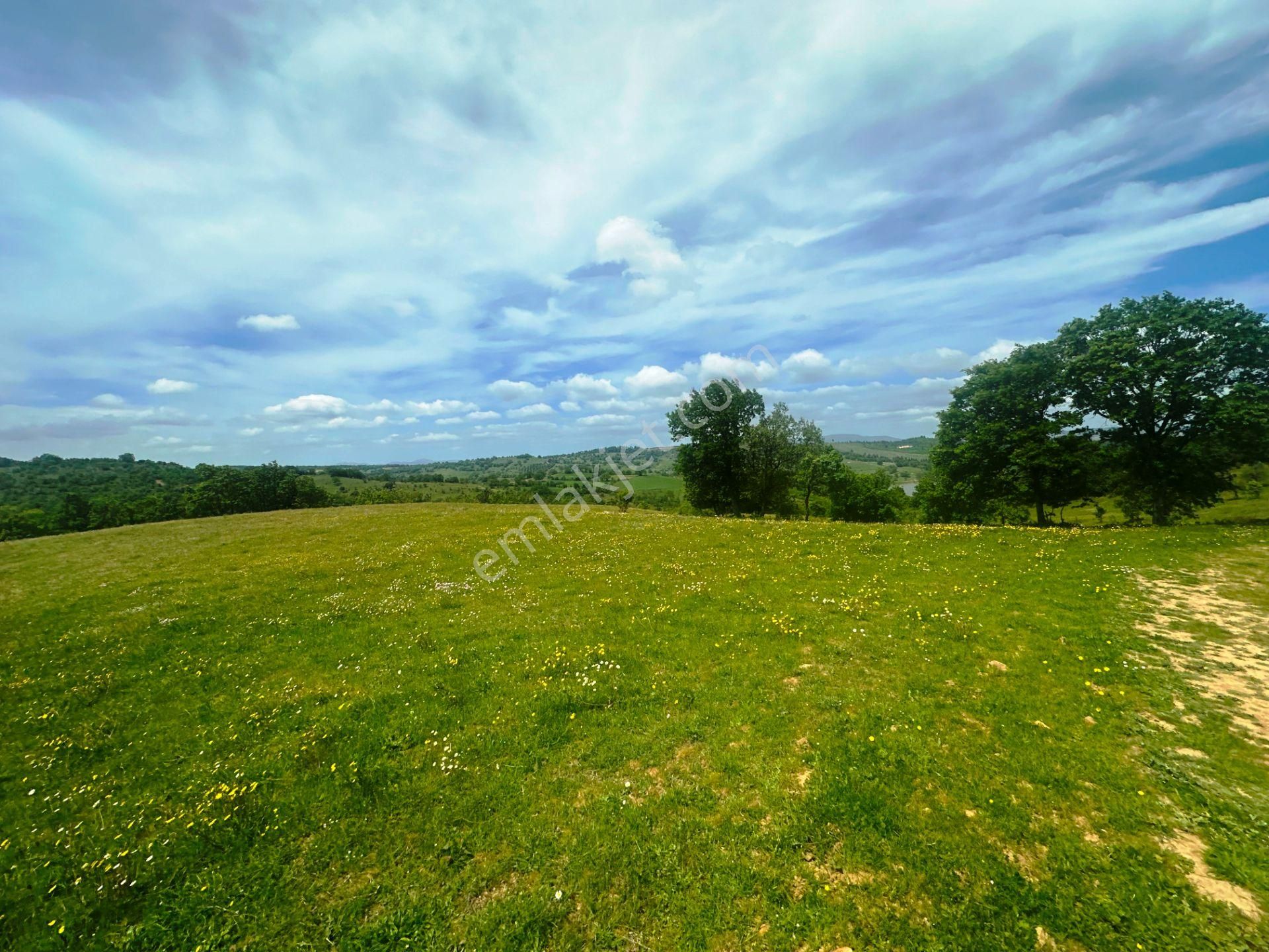 Çanakkale Bayramiç'de Yeni Otoban Yakınında 5.900m2 Satılık Arsa - Görsel 21