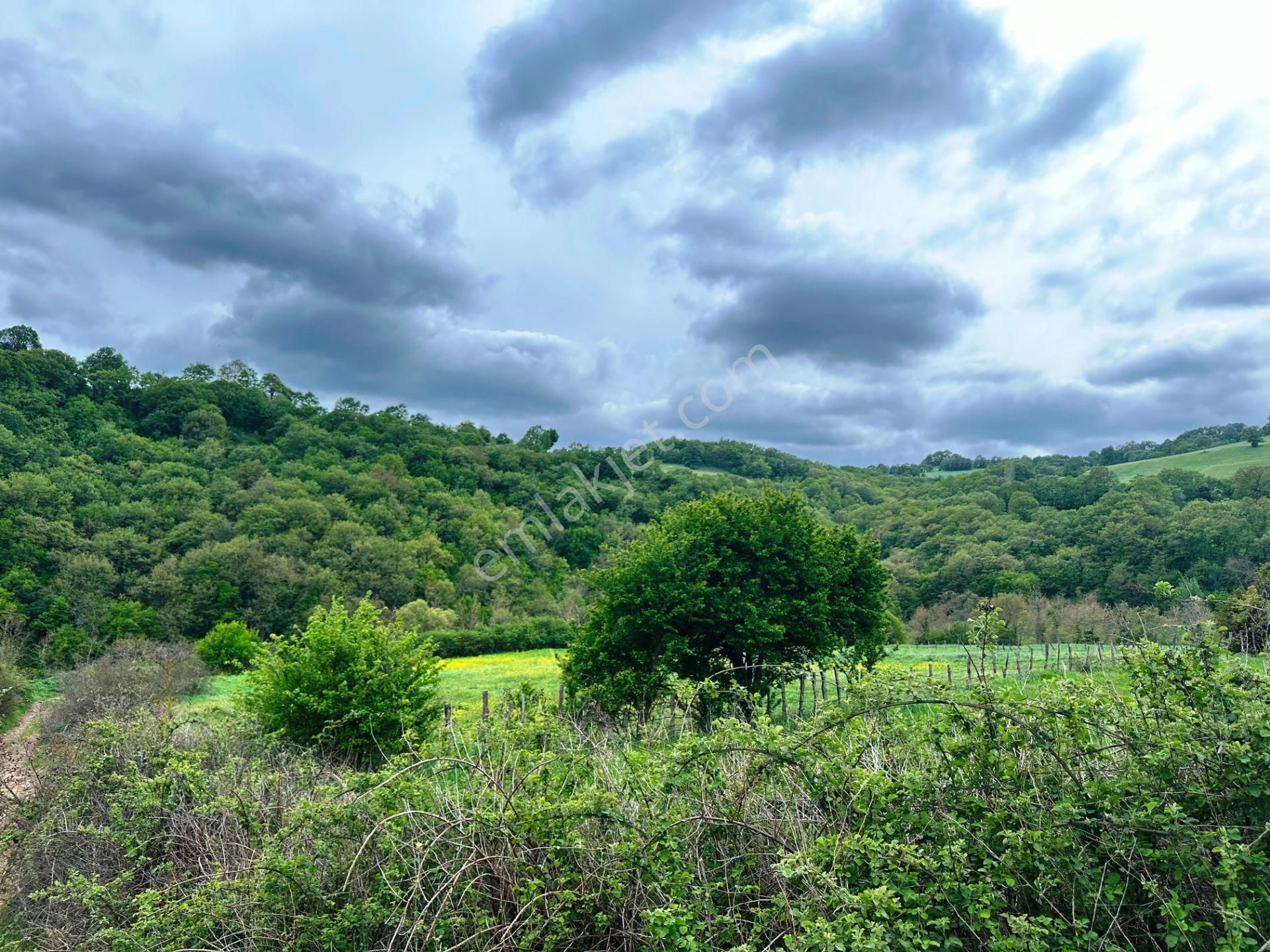 Çanakkale Bayramiç'de Yeni Otoban Yakınında 5.900m2 Satılık Arsa - Görsel 24