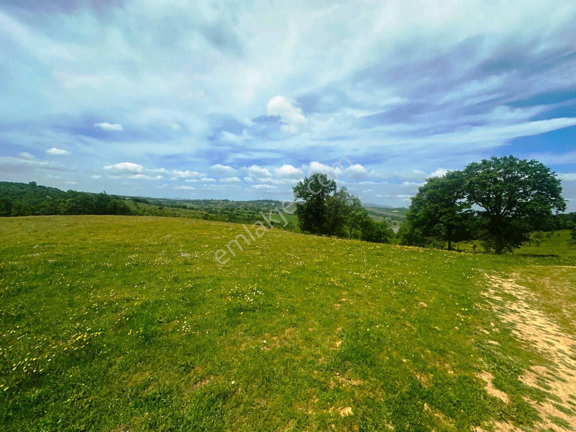 Çanakkale Bayramiç'de Yeni Otoban Yakınında 5.900m2 Satılık Arsa - Görsel 13