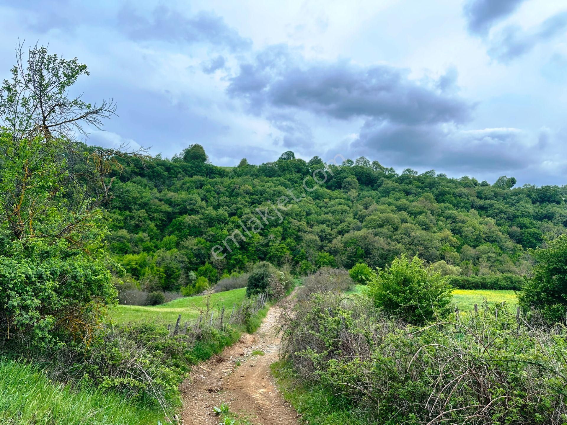 Çanakkale Bayramiç'de Yeni Otoban Yakınında 5.900m2 Satılık Arsa - Görsel 6