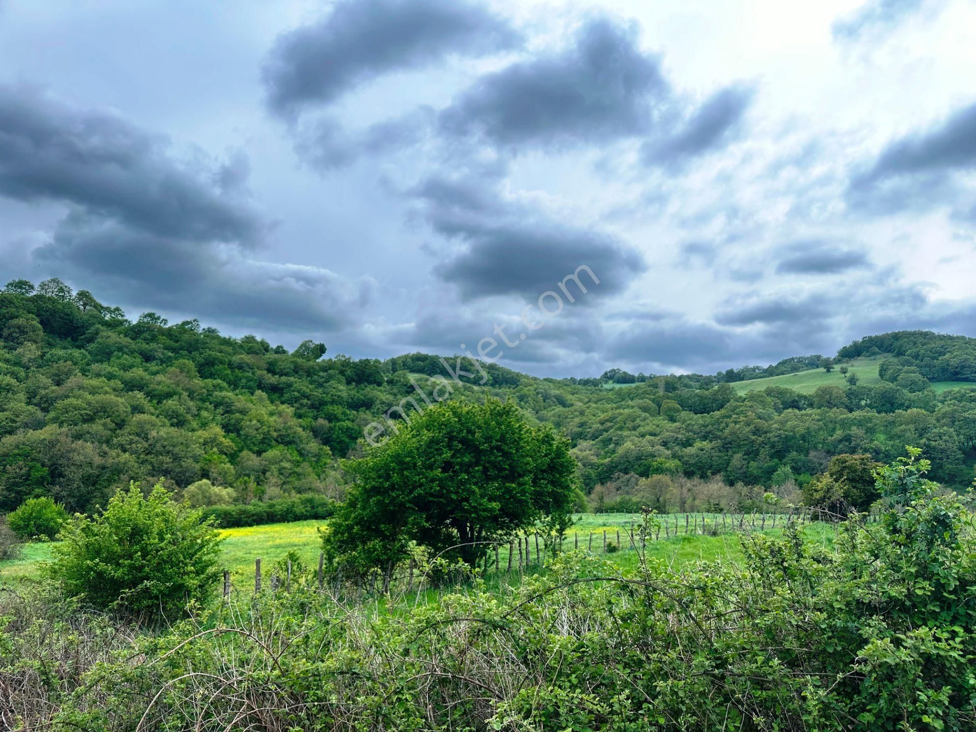 Çanakkale Bayramiç'de Yeni Otoban Yakınında 5.900m2 Satılık Arsa - Görsel 3