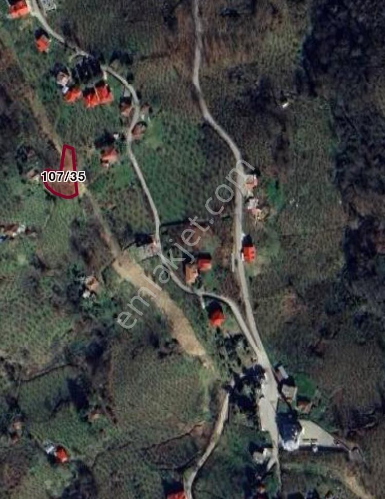 Özgür Emlak'tan Fırsat Arazi Fındıklık - Görsel 11