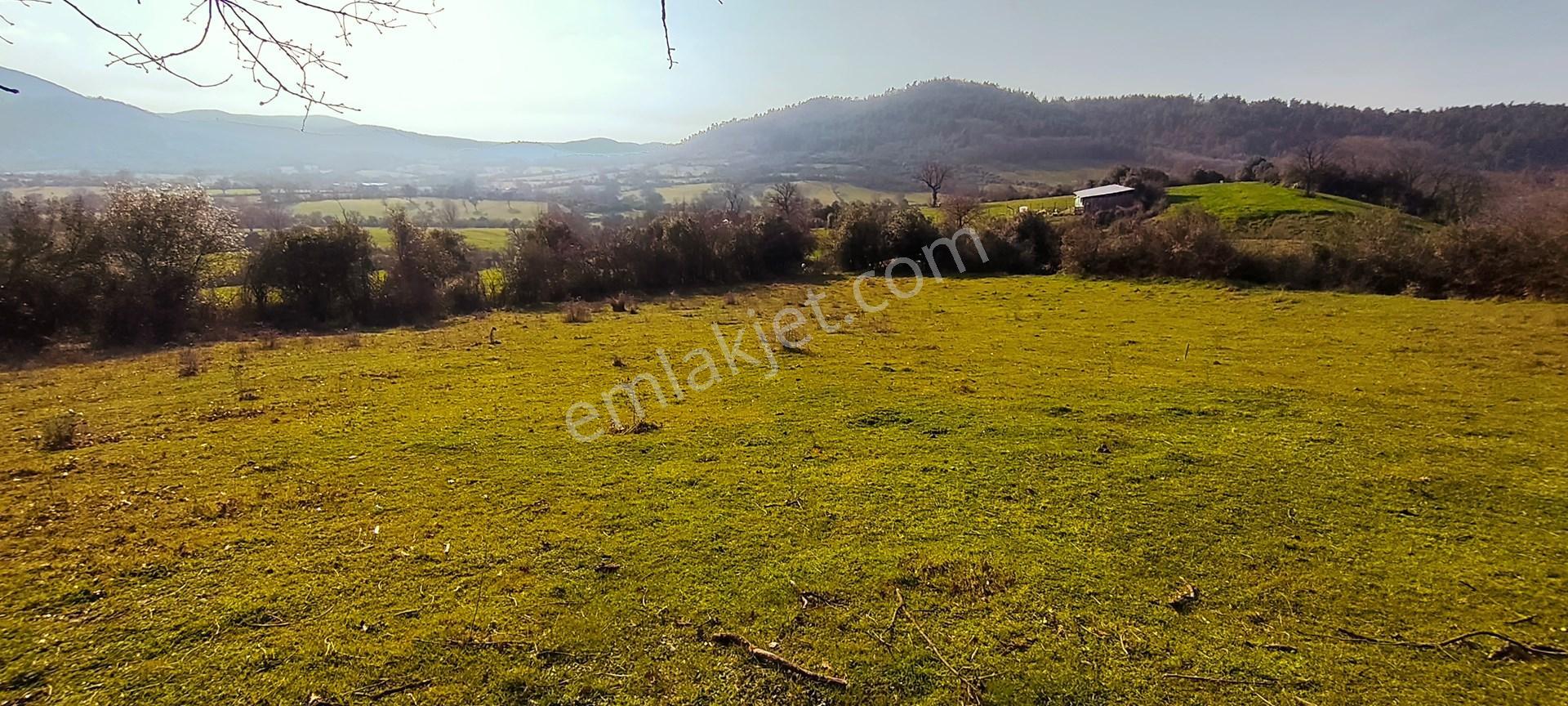 616 M² %40 2 Kat İmarlı Köy Arsası Cicikler Köyü Çan Çanakkale - Görsel 4