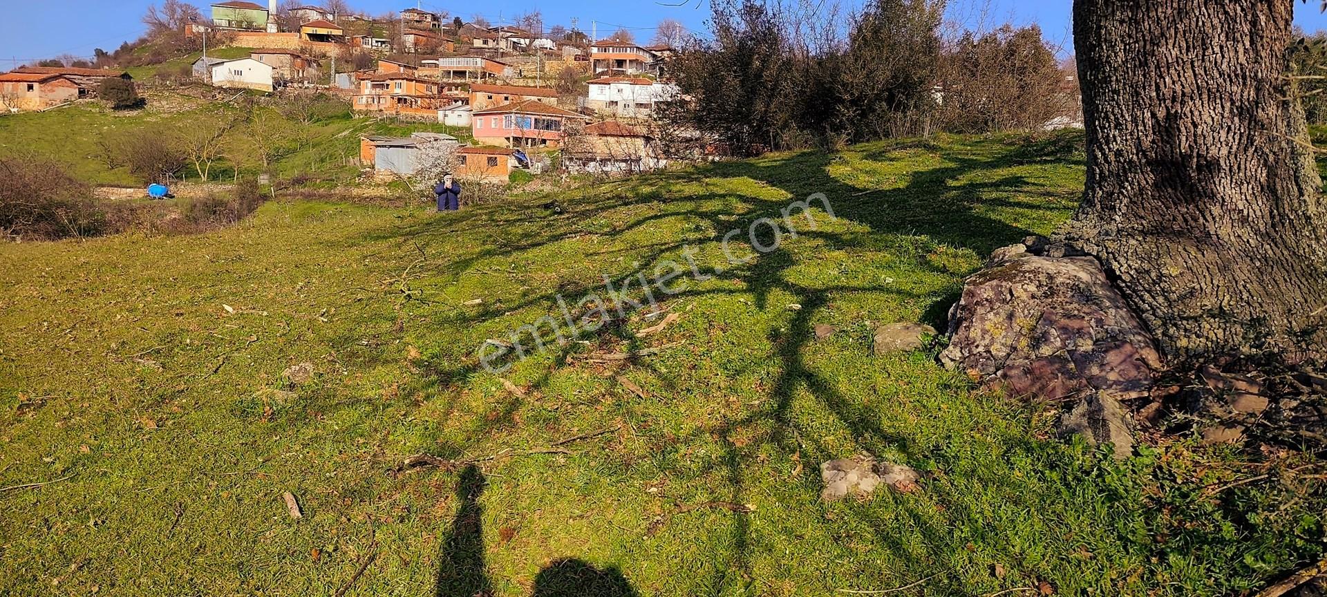616 M² %40 2 Kat İmarlı Köy Arsası Cicikler Köyü Çan Çanakkale - Görsel 14