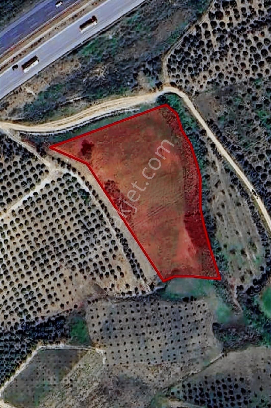 Kolezyum Dan Akdeniz Iğdırda Satılık Arsa