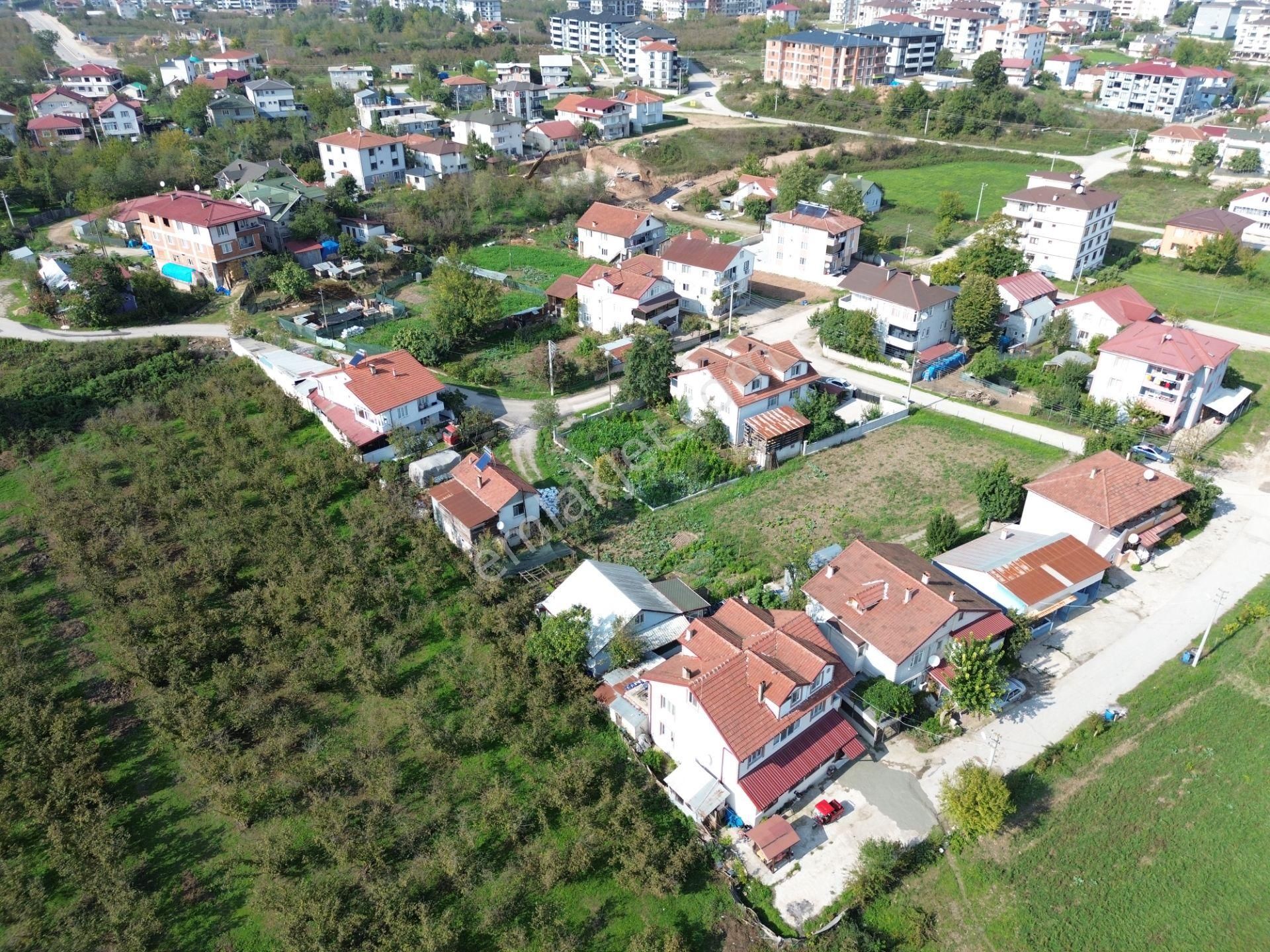 Emlak Evim'den Yeni Mah'de 1410 M2 Kat Karşılığı - Görsel 3