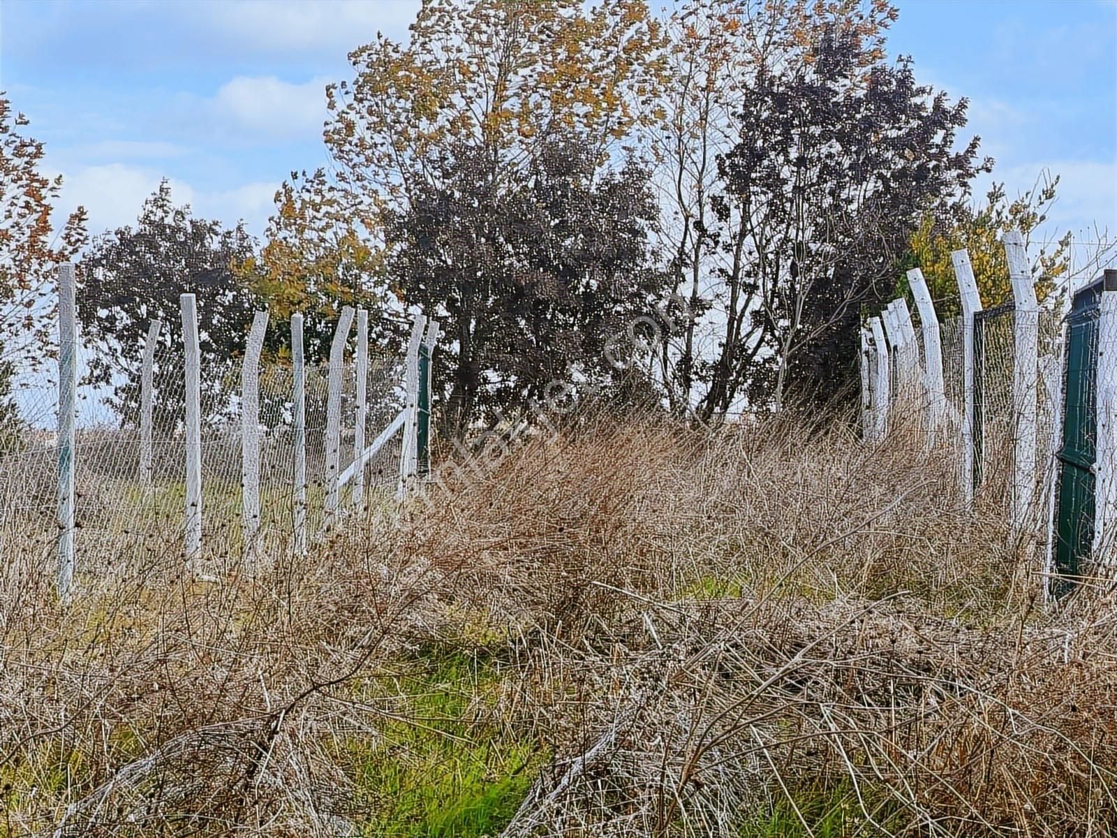 Tepekent Villalarının Dibinde Emsalsiz Yatırımlık Yol Cephe Arsa - Görsel 6