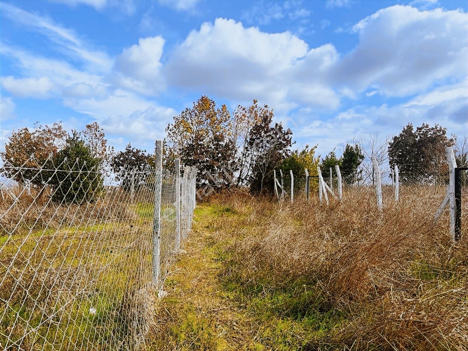 Tepekent Villalarının Dibinde Emsalsiz Yatırımlık Yol Cephe Arsa - Görsel 2