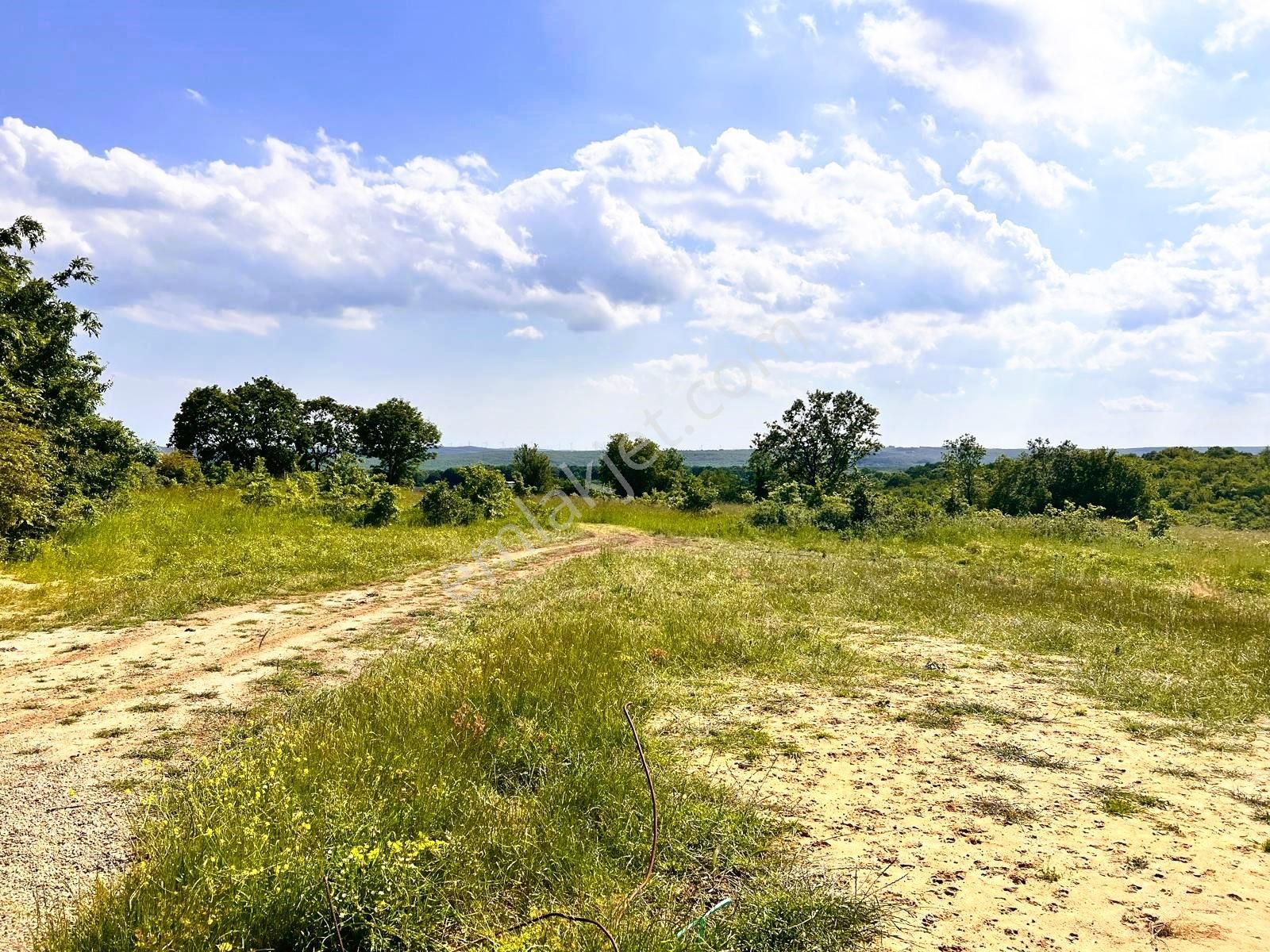 Çatalca İhsaniye Muhteşem Konum Orman Manzaralı Satılık Arsa - Görsel 14