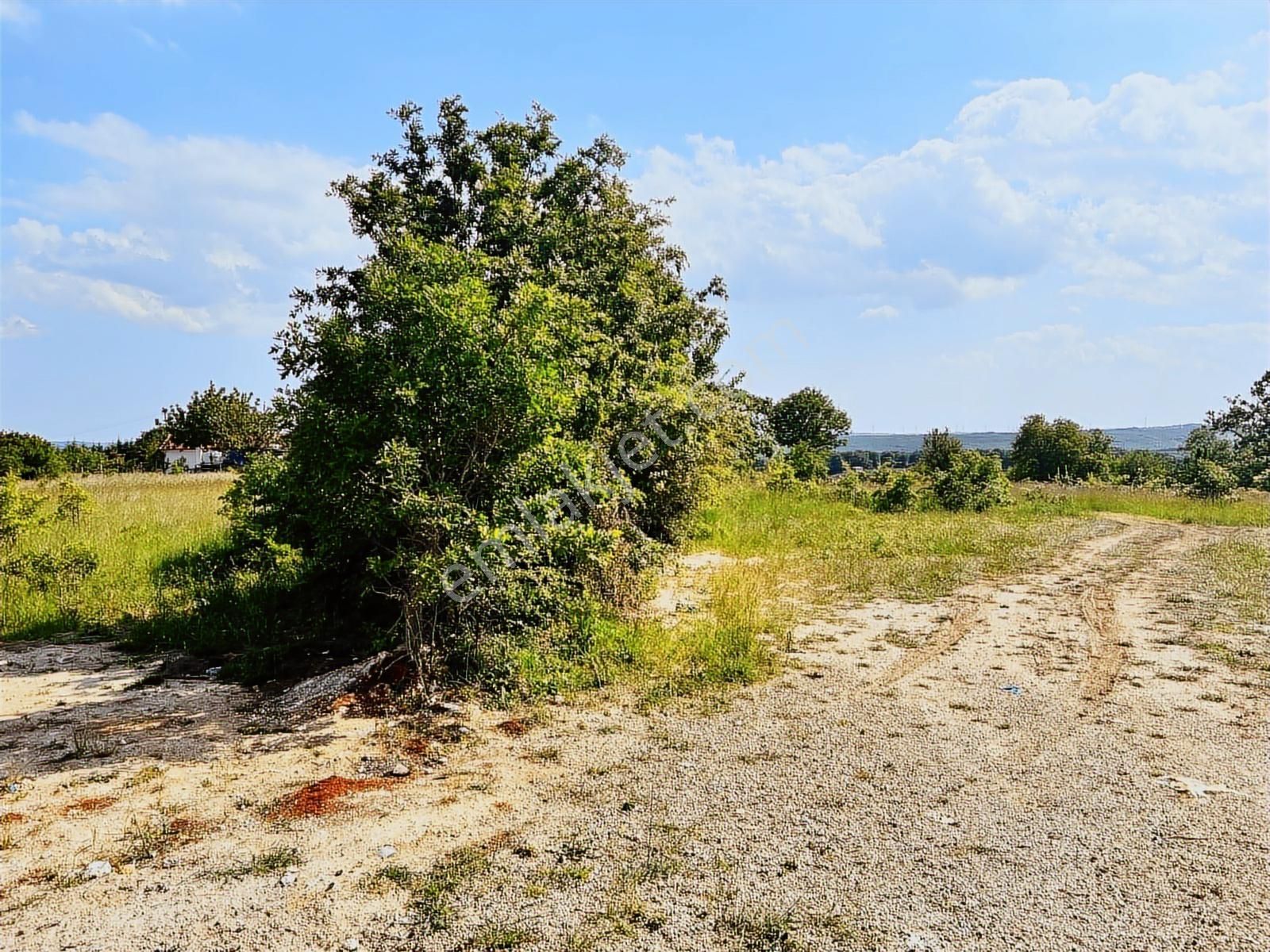 Çatalca İhsaniye Muhteşem Konum Orman Manzaralı Satılık Arsa - Görsel 19