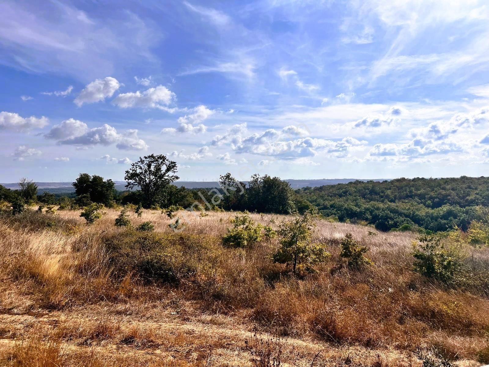 Çatalca İhsaniye Muhteşem Konum Orman Manzaralı Satılık Arsa - Görsel 7