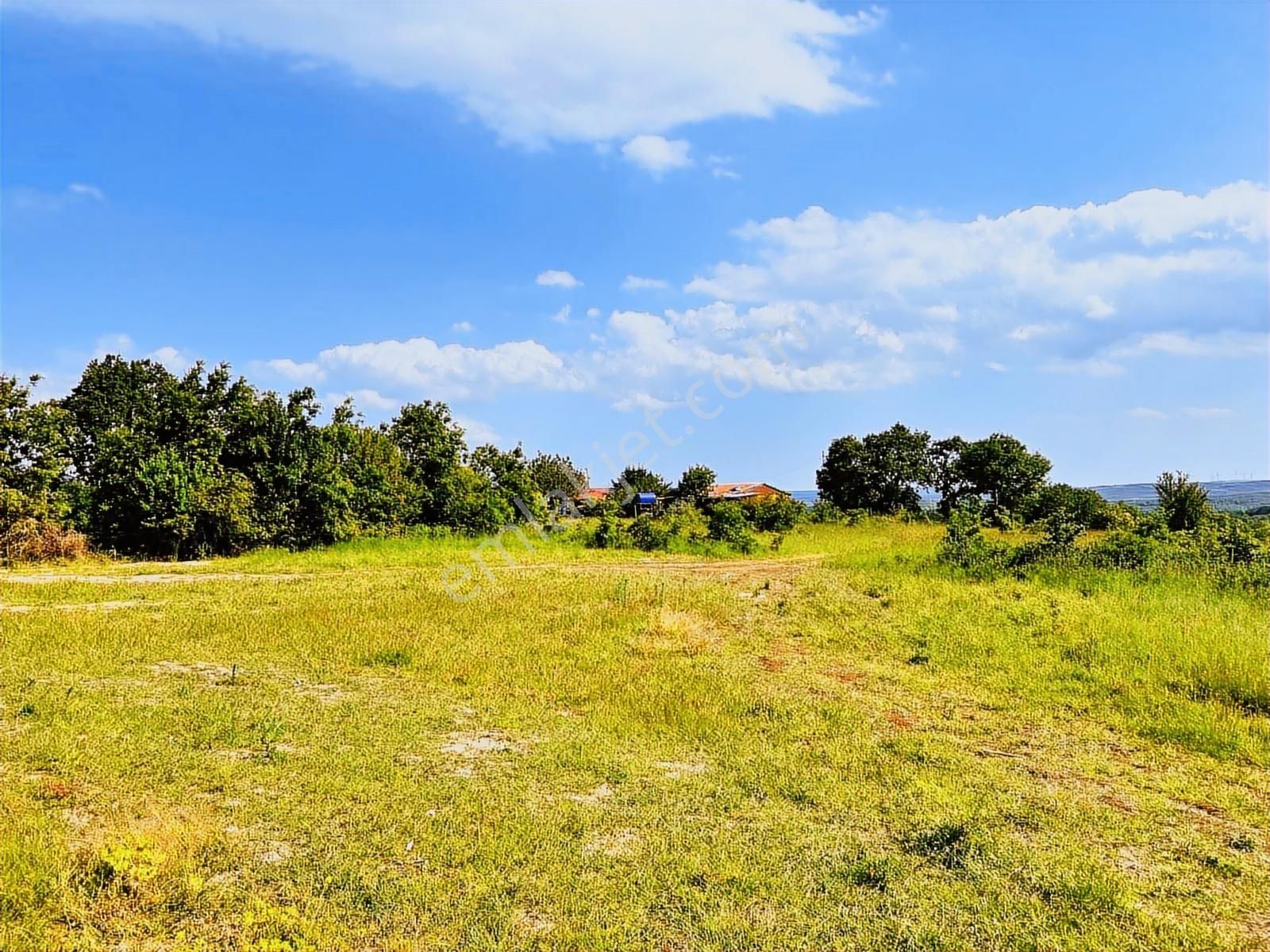 Çatalca İhsaniye Muhteşem Konum Orman Manzaralı Satılık Arsa - Görsel 12