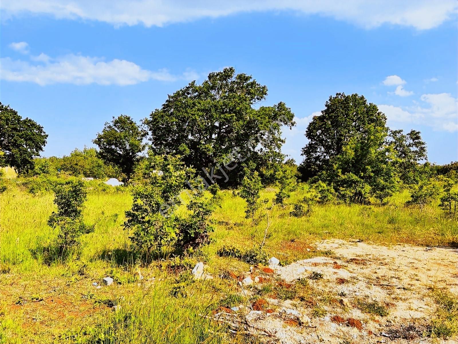 Çatalca İhsaniye Muhteşem Konum Orman Manzaralı Satılık Arsa - Görsel 18