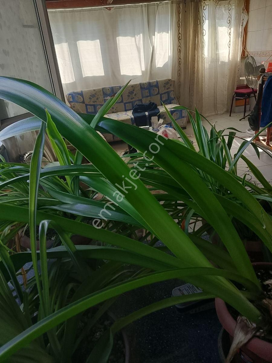 Yedikule Caddesi'nde 3 Katlı 240 Mt Komple Bina 65.000 - Görsel 35