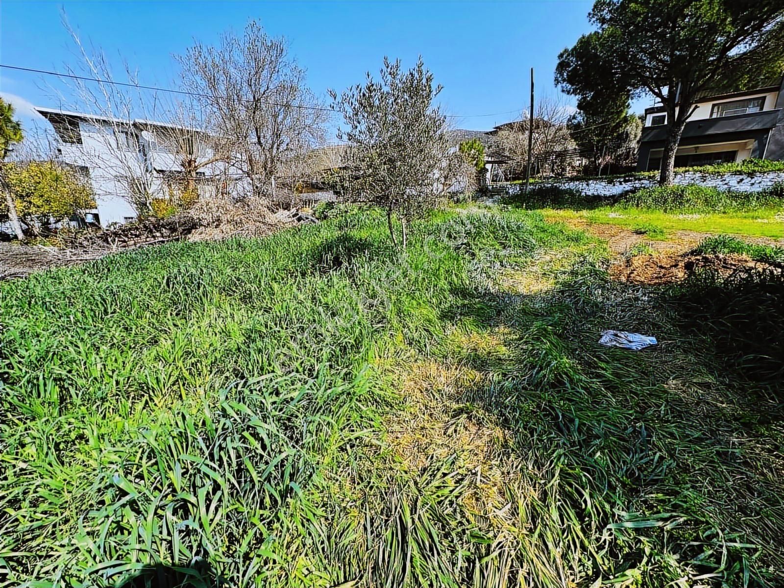 Milas İçme Mahallesinde Doğayla İç İçe Satılık Köy Evi - Görsel 4