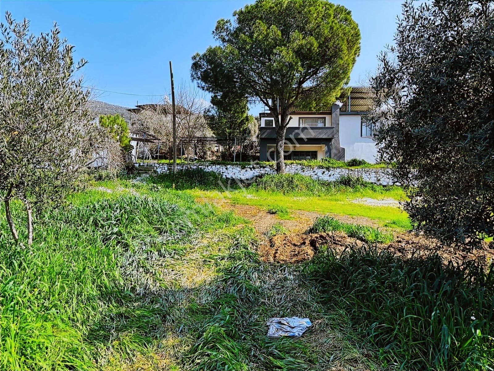 Milas İçme Mahallesinde Doğayla İç İçe Satılık Köy Evi - Görsel 29
