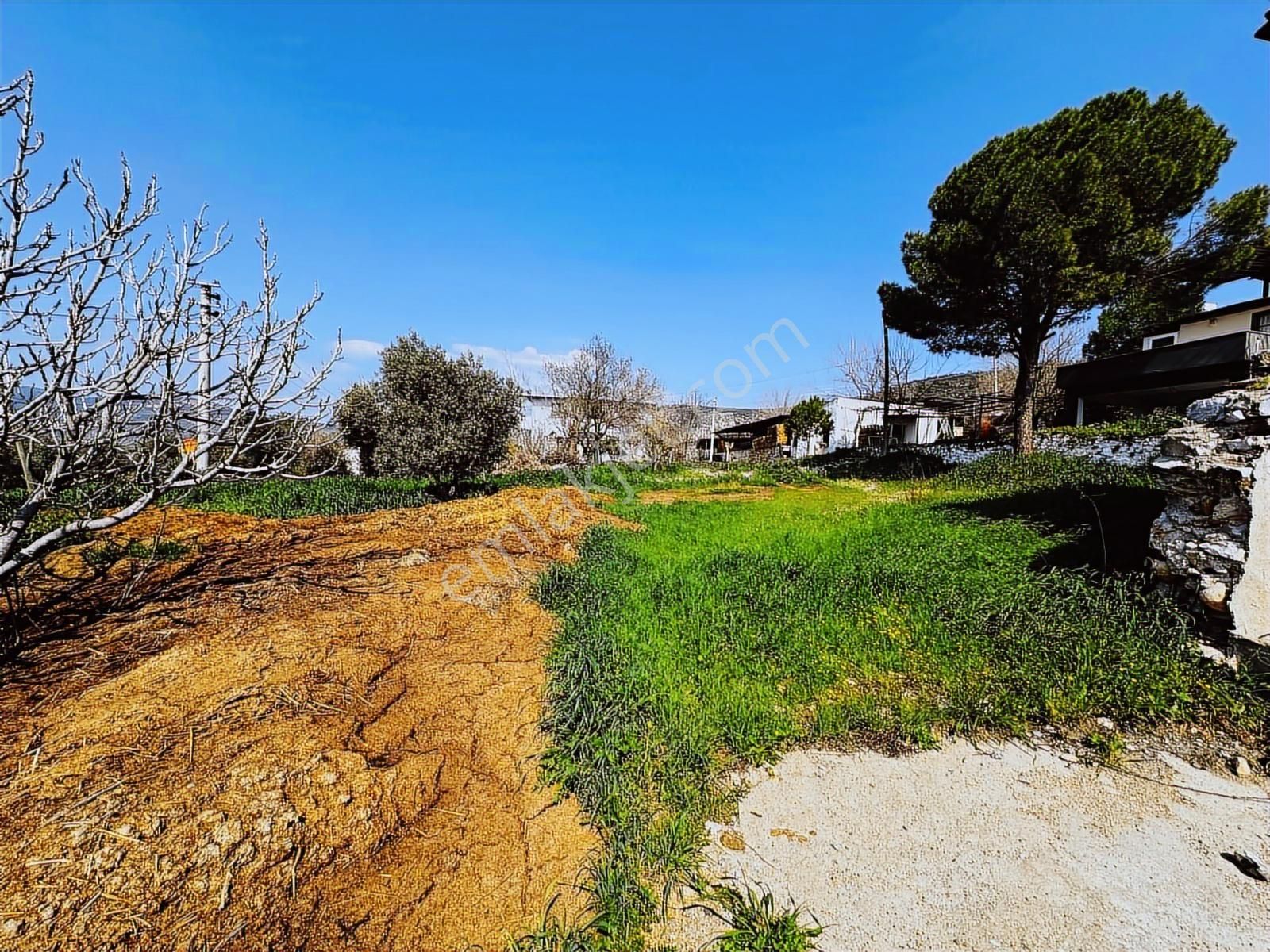 Milas İçme Mahallesinde Doğayla İç İçe Satılık Köy Evi - Görsel 16