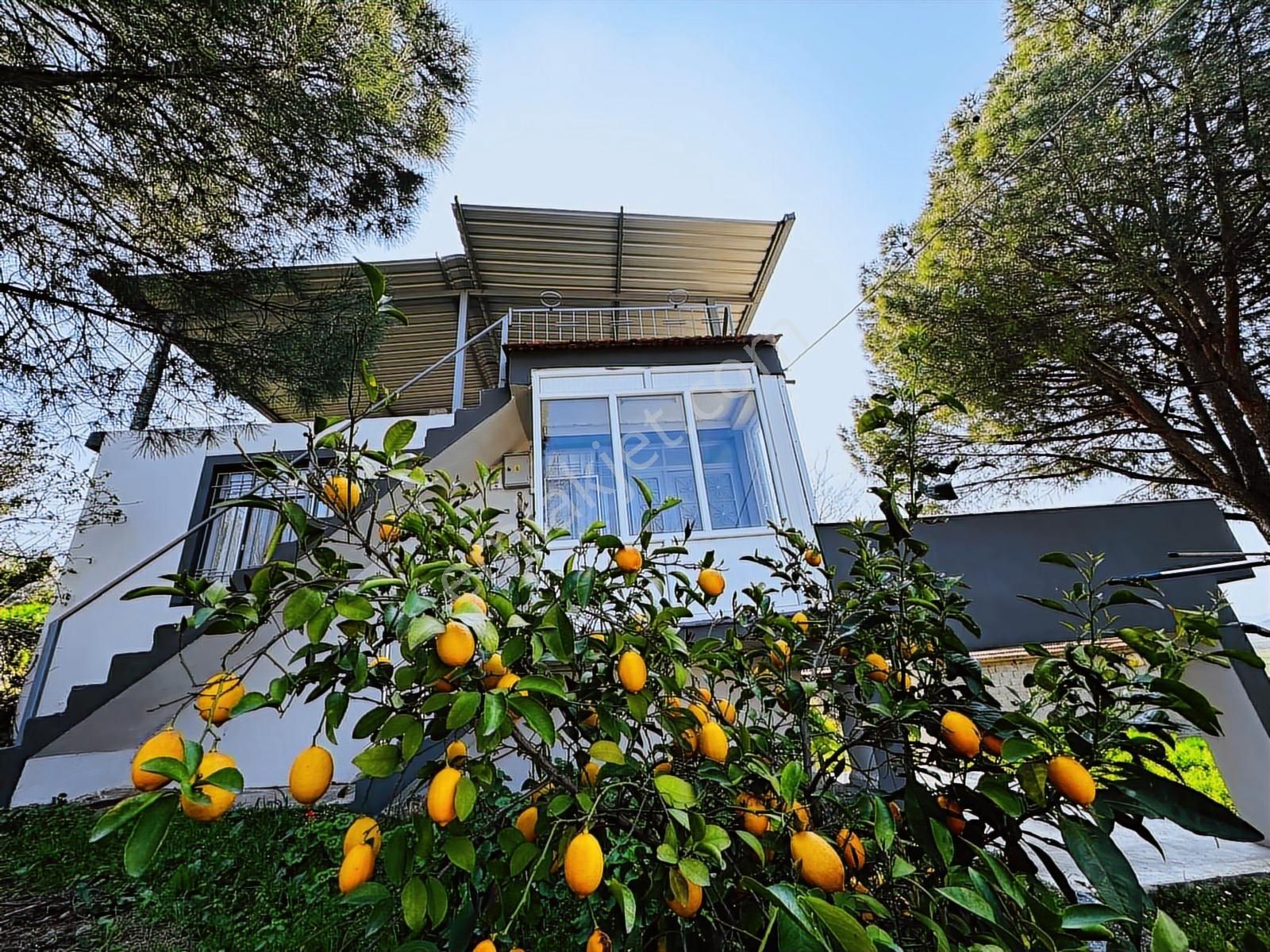 Milas İçme Mahallesinde Doğayla İç İçe Satılık Köy Evi - Görsel 18