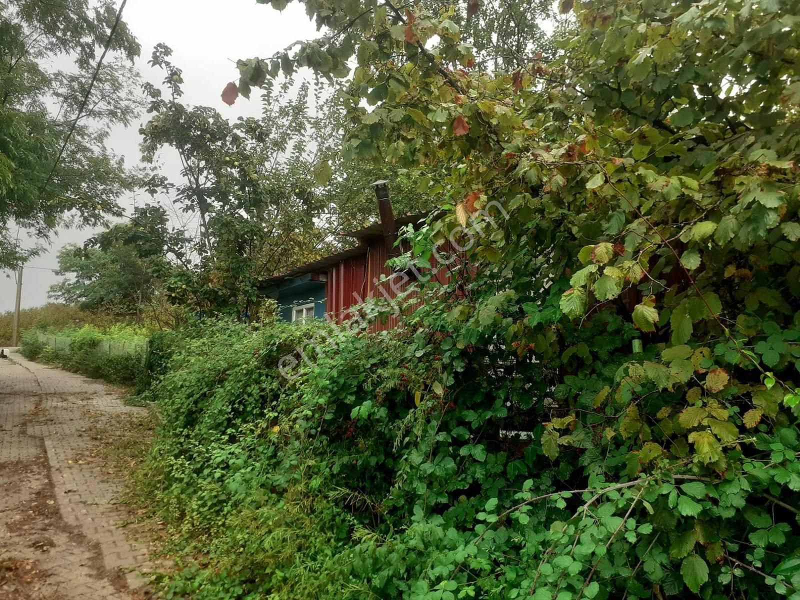 Tarcanlardan Doğayla İç İçe, Bahçeli 1+0 Kiralık Daire - Görsel 10