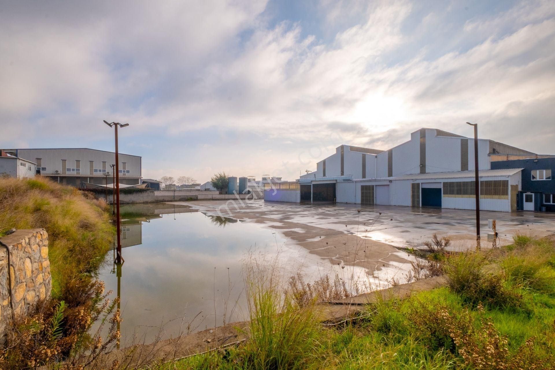 Üretime Hazır Vinçli Ve Yüksek Enerjili Kiralık 12000 M2 Fabrika - Görsel 29