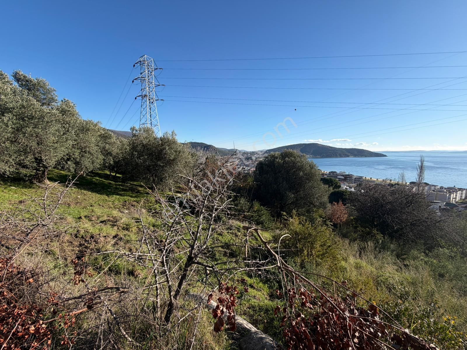 Erdek Ocaklar'da 1550m2 Deniz Manzaralı Satılık Zeytinlik - Görsel 5