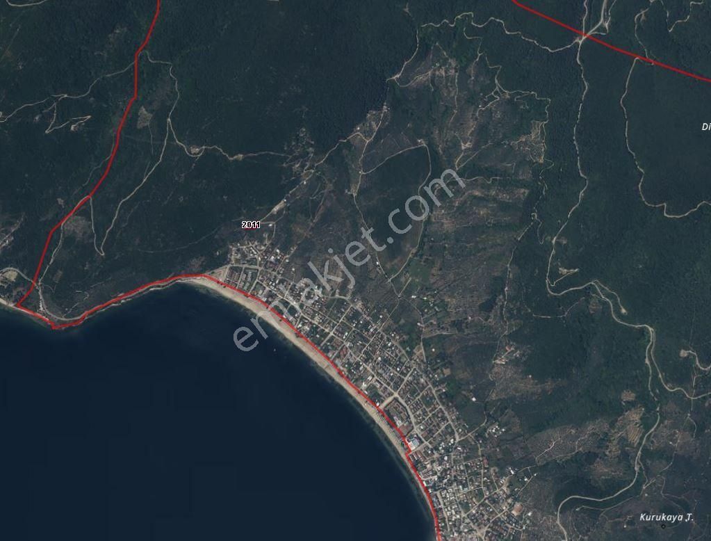 Erdek Ocaklar'da 1550m2 Deniz Manzaralı Satılık Zeytinlik - Görsel 4