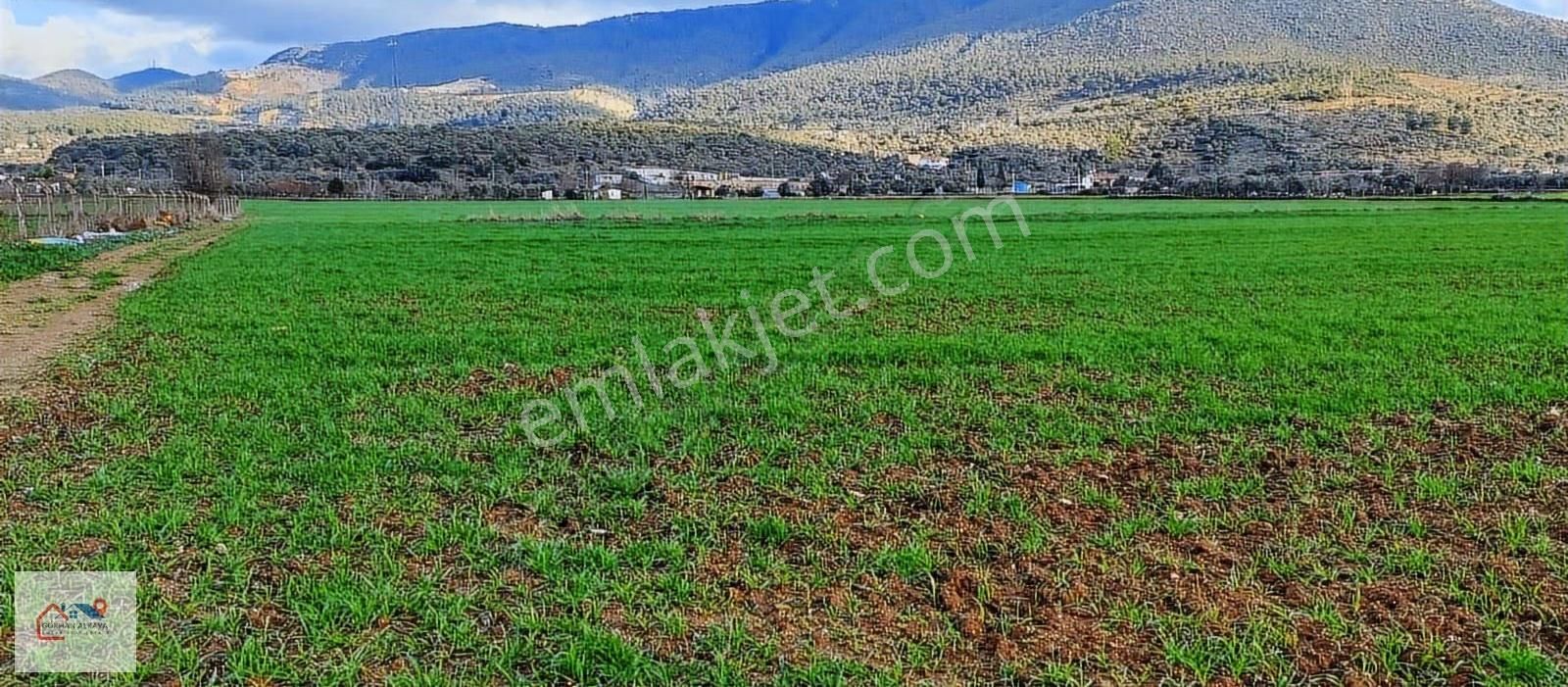 Muğla Milas Beçin Satılık Tarla 8.240 M² - Görsel 8