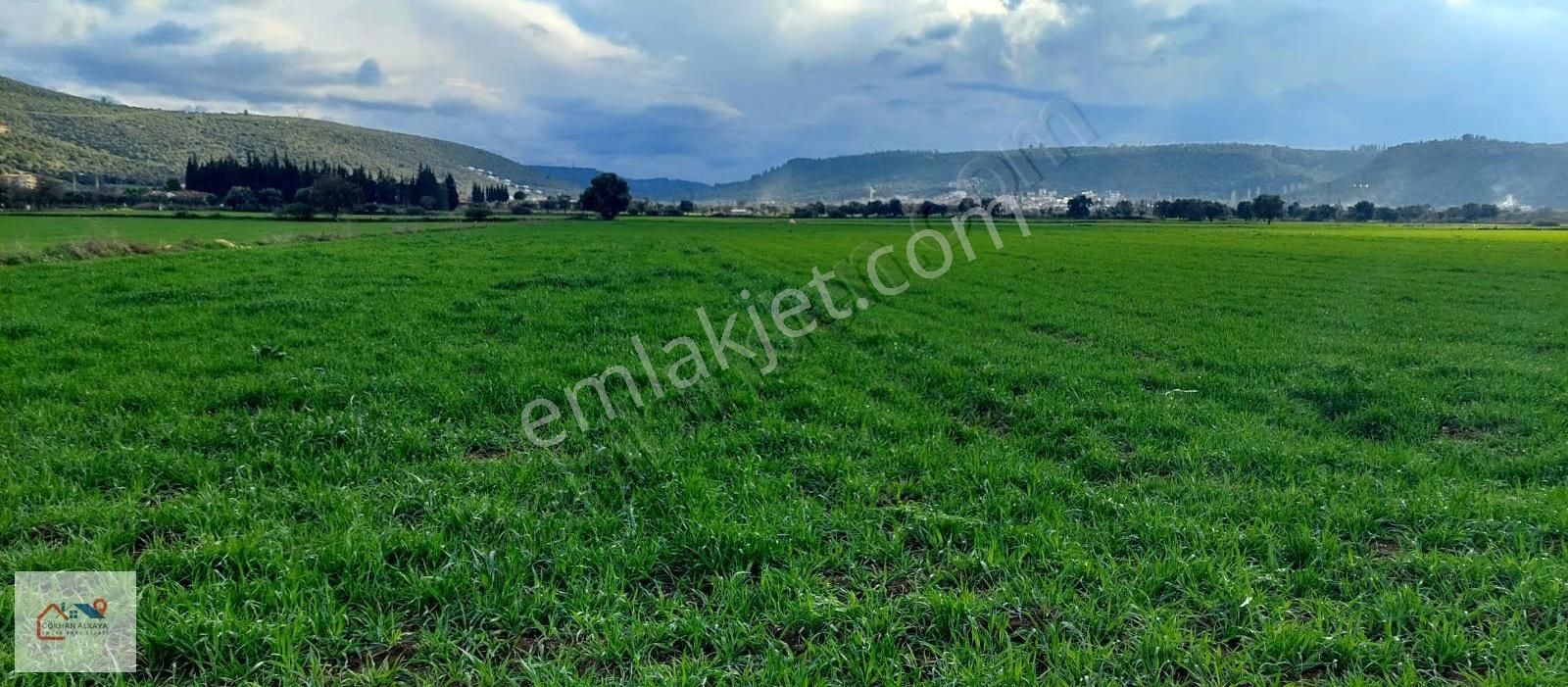 Muğla Milas Beçin Satılık Tarla 8.240 M² - Görsel 9