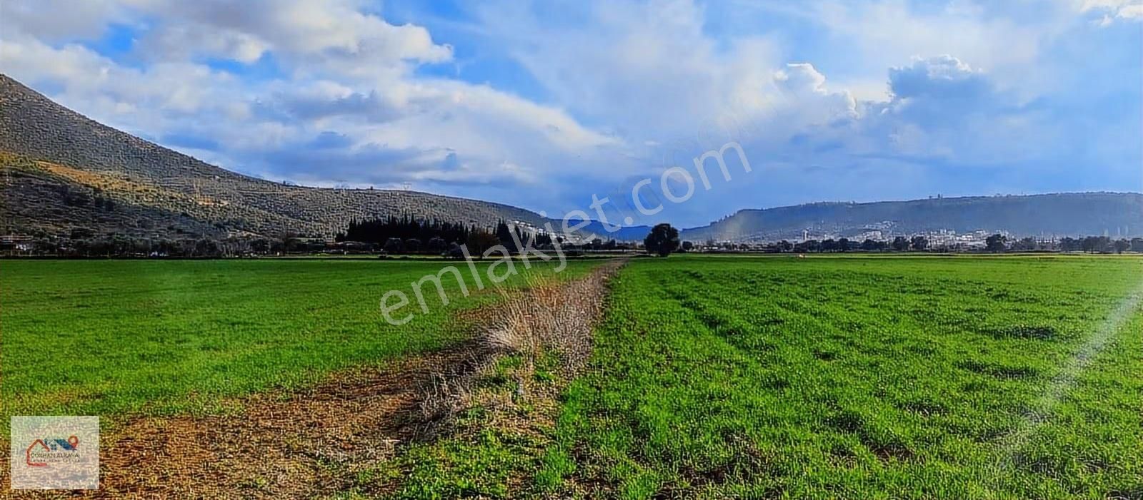 Muğla Milas Beçin Satılık Tarla 8.240 M² - Görsel 2