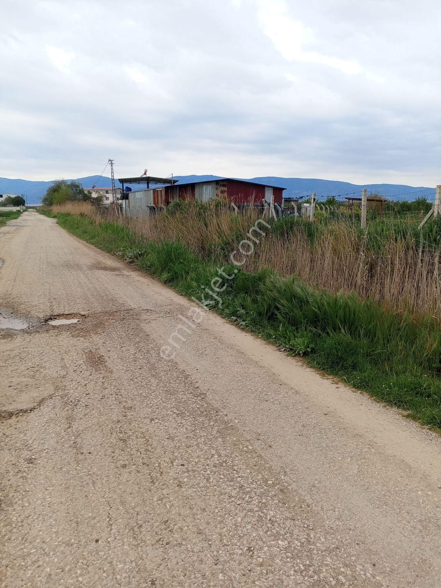 İzmir Torbalı Gold Emlaktan Satılık Tarla - Görsel 10