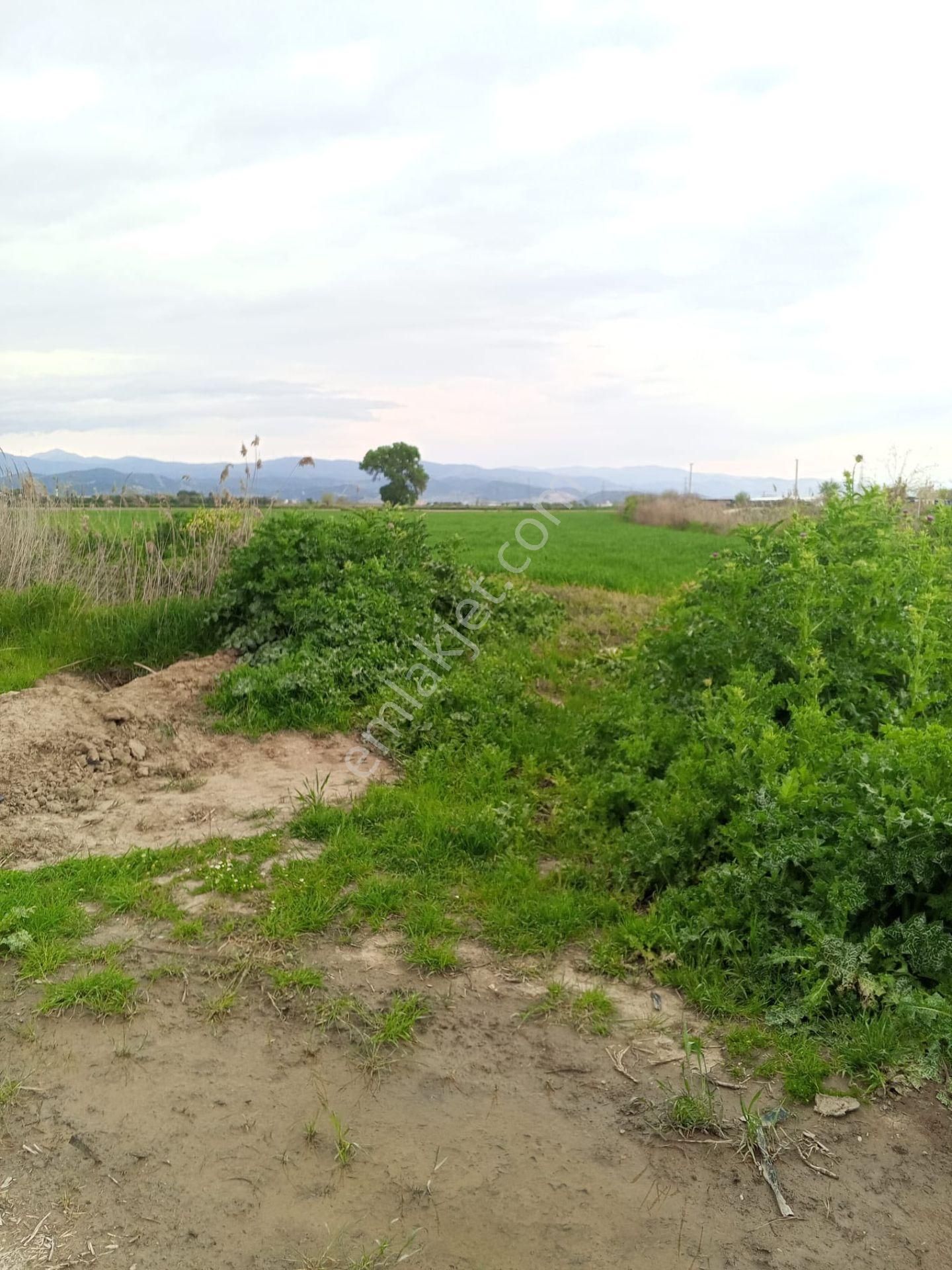 İzmir Torbalı Gold Emlaktan Satılık Tarla - Görsel 8