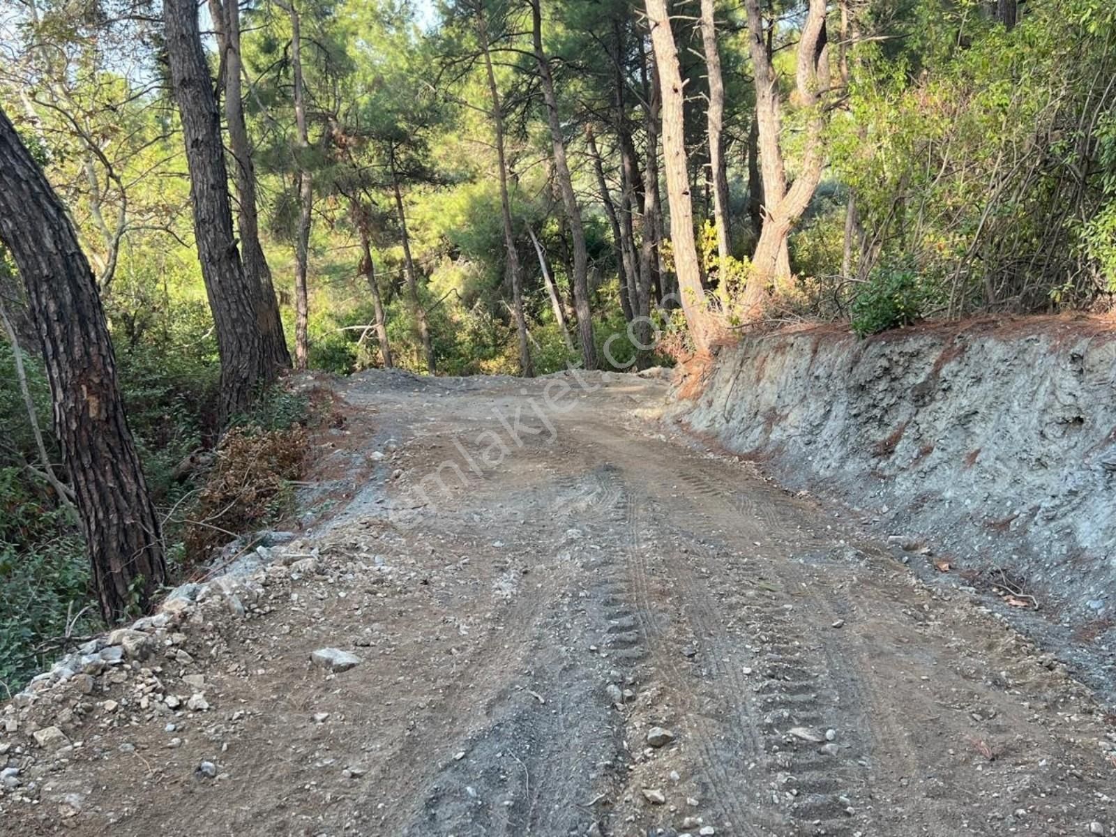 Kirazlı' Da Düz Arazi - Kolay Ulaşım, Tek Tapulu, Uygun Fiyat! - Görsel 12