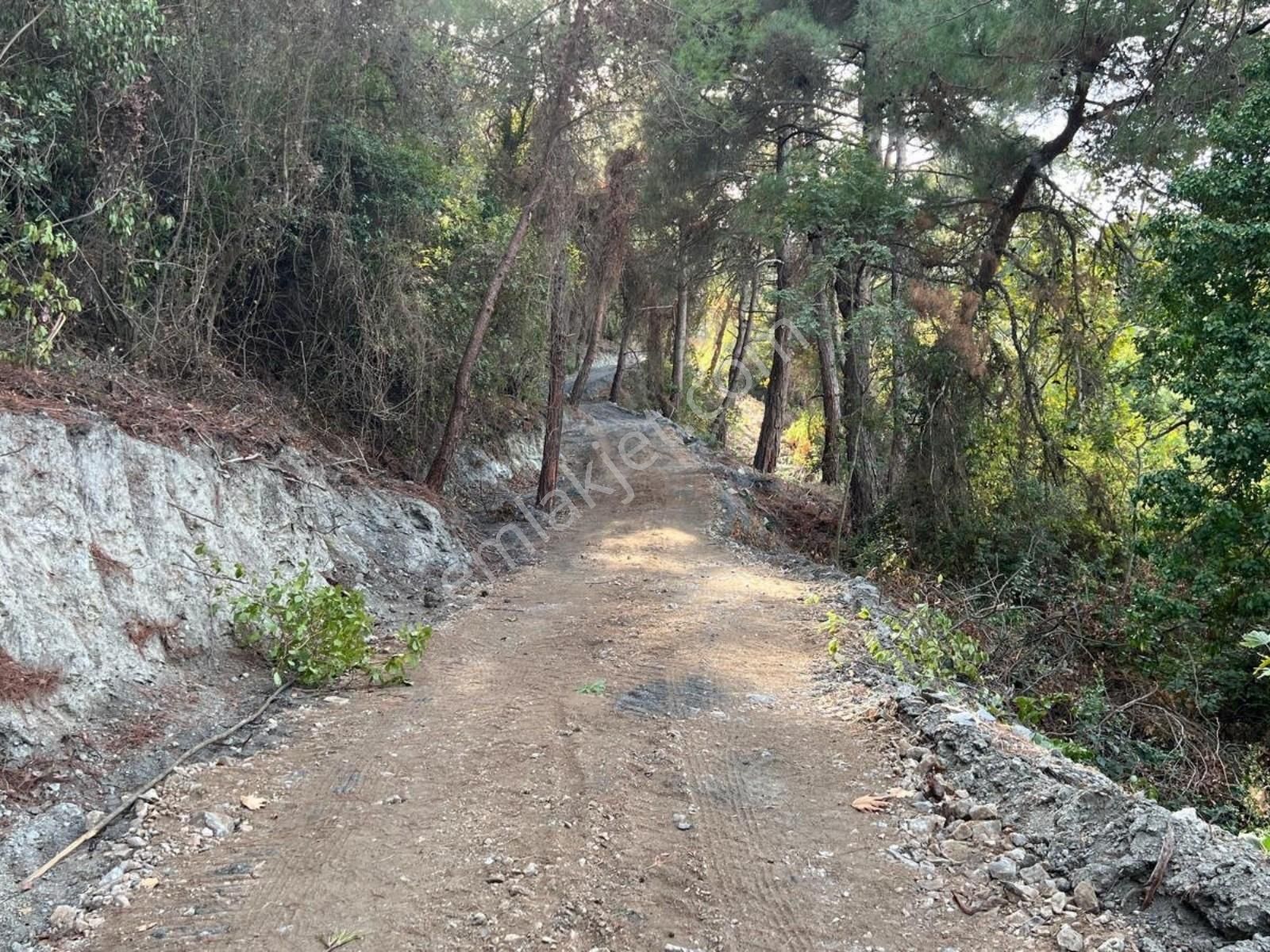 Kirazlı' Da Düz Arazi - Kolay Ulaşım, Tek Tapulu, Uygun Fiyat! - Görsel 14