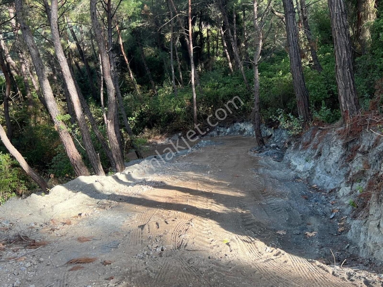 Kirazlı' Da Düz Arazi - Kolay Ulaşım, Tek Tapulu, Uygun Fiyat! - Görsel 19