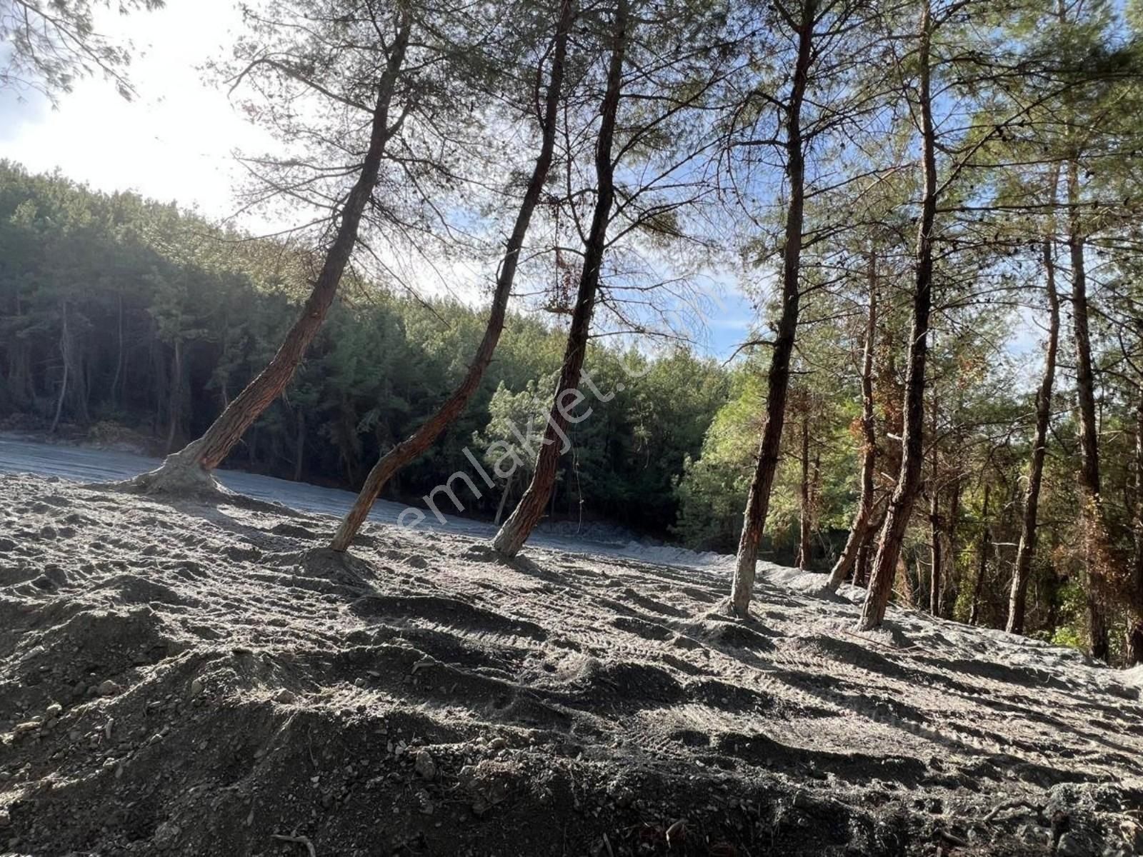 Kirazlı' Da Düz Arazi - Kolay Ulaşım, Tek Tapulu, Uygun Fiyat! - Görsel 16