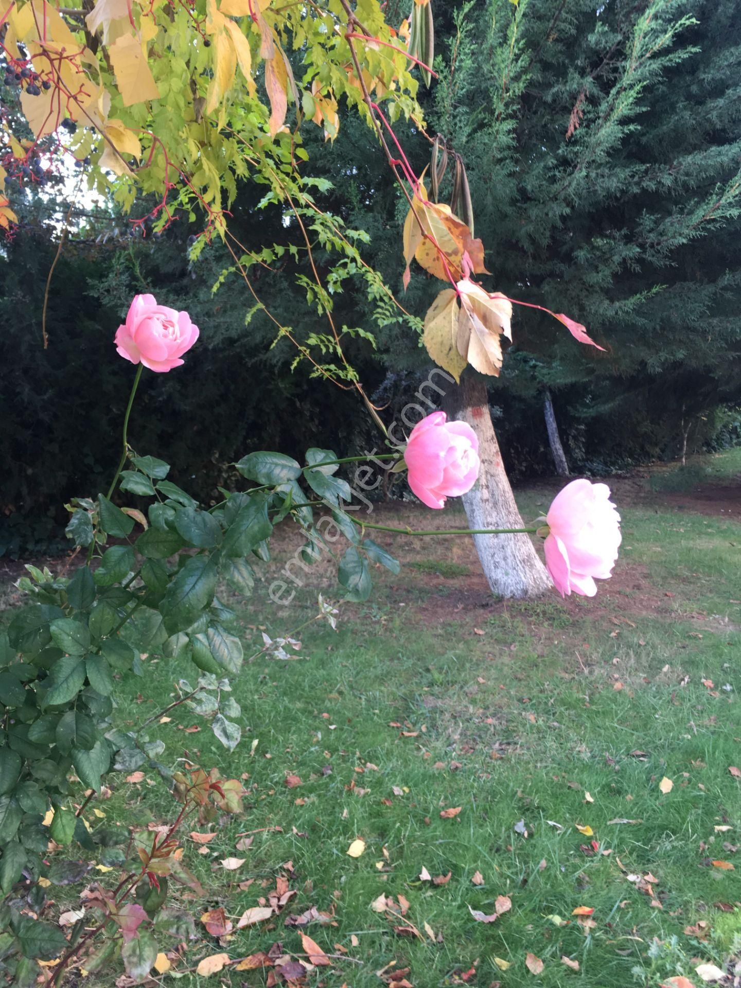 Atakent 3 Etap 3+1 Kiralık Daire - Görsel 6