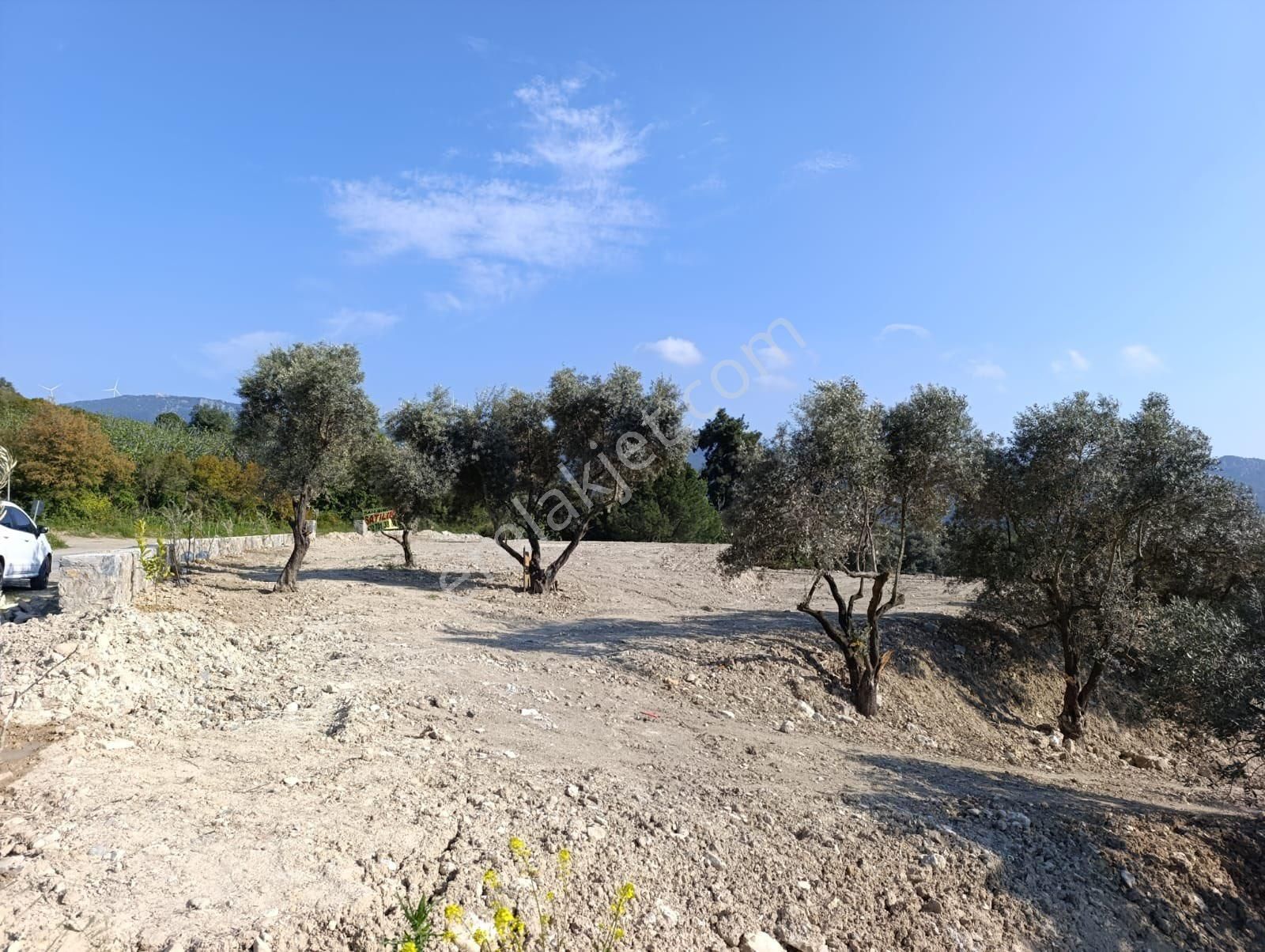 Aydın Kuşadası Çınar Mallesinde 1.644m2 Satılık Arsamız Var - Görsel 4