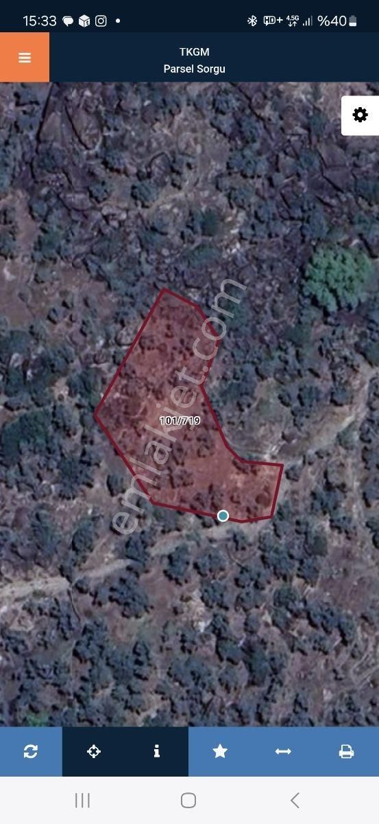 Aydın Karpuzlu'da Püfür Püfür Zeytinlik - Görsel 13