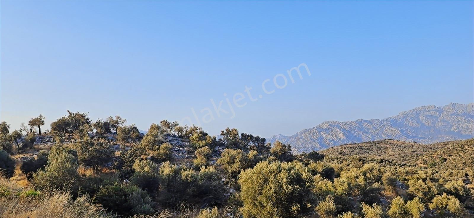 Kuşadası Soğucakta Deniz Manzaralı Satılık Tarla - Görsel 3