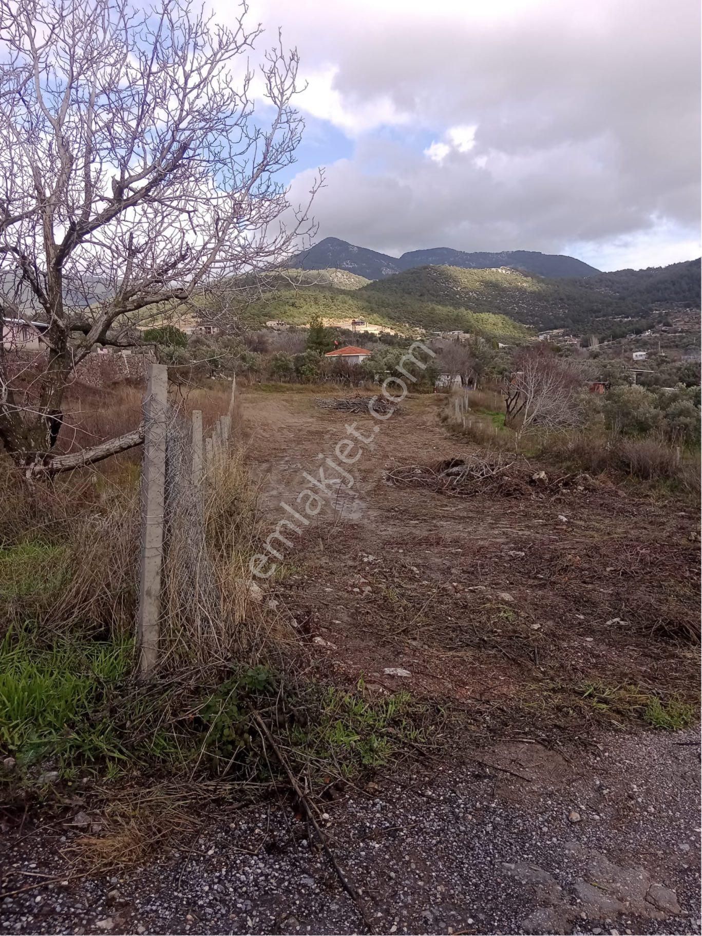 İzmir Buca Kırıklar Mevkiinde 1830 Metrekare Tek Tapu Satılık Tarla - Görsel 7