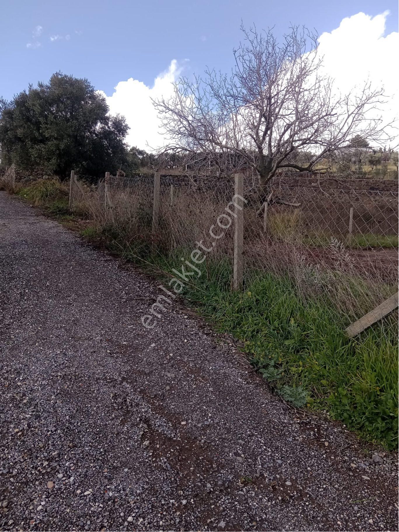 İzmir Buca Kırıklar Mevkiinde 1830 Metrekare Tek Tapu Satılık Tarla - Görsel 2