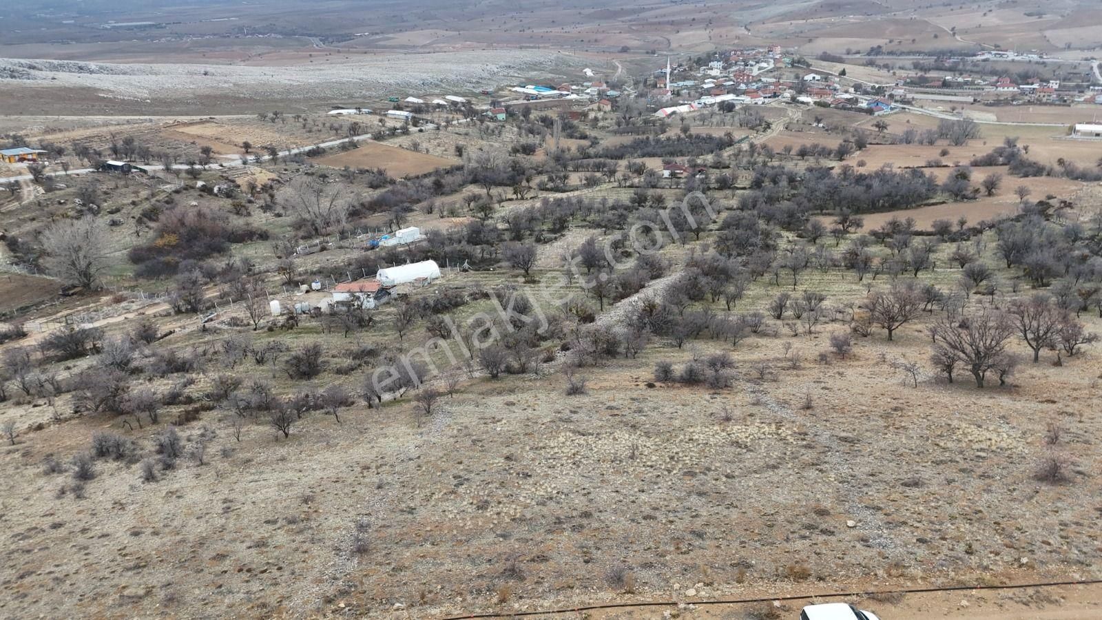 Fırsat Bahçelik Meram Sarıkız İntikal Tapulu 153 M2 Bahçe - Görsel 5