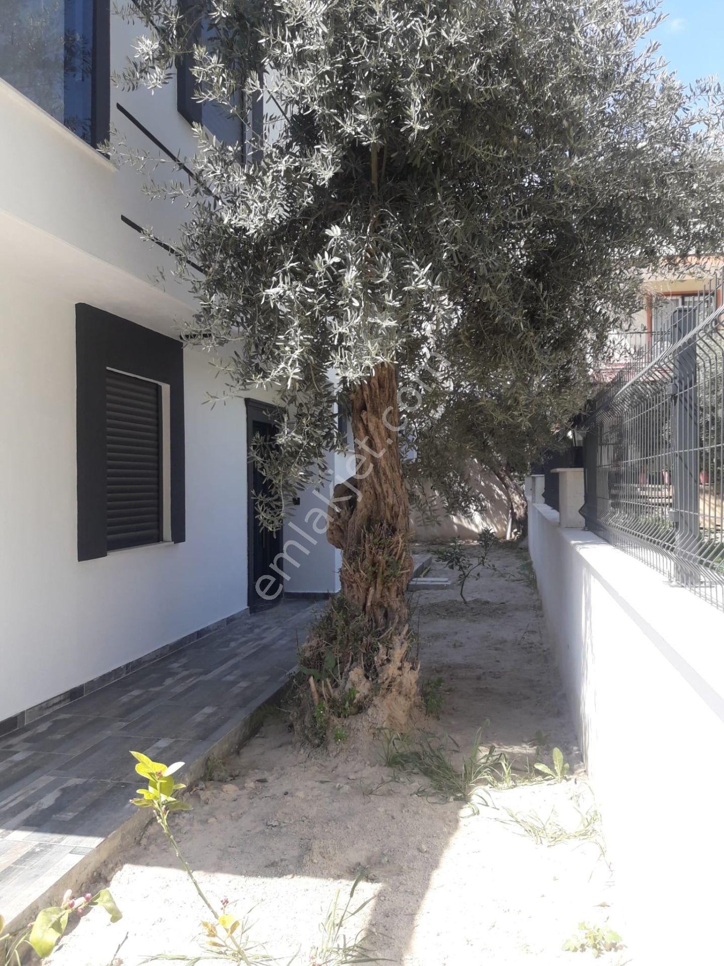 Denize 800 Metre Doğalgazlı Sıfır Villa - Görsel 7