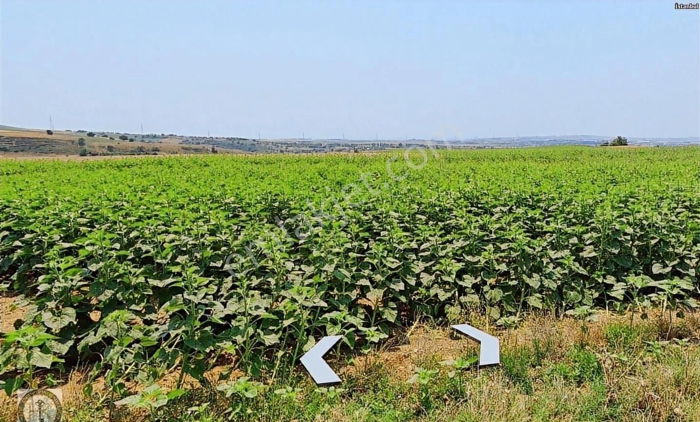 İstanbul Silivri Değirmenköy 343 M² Satılık Arsa - Görsel 11