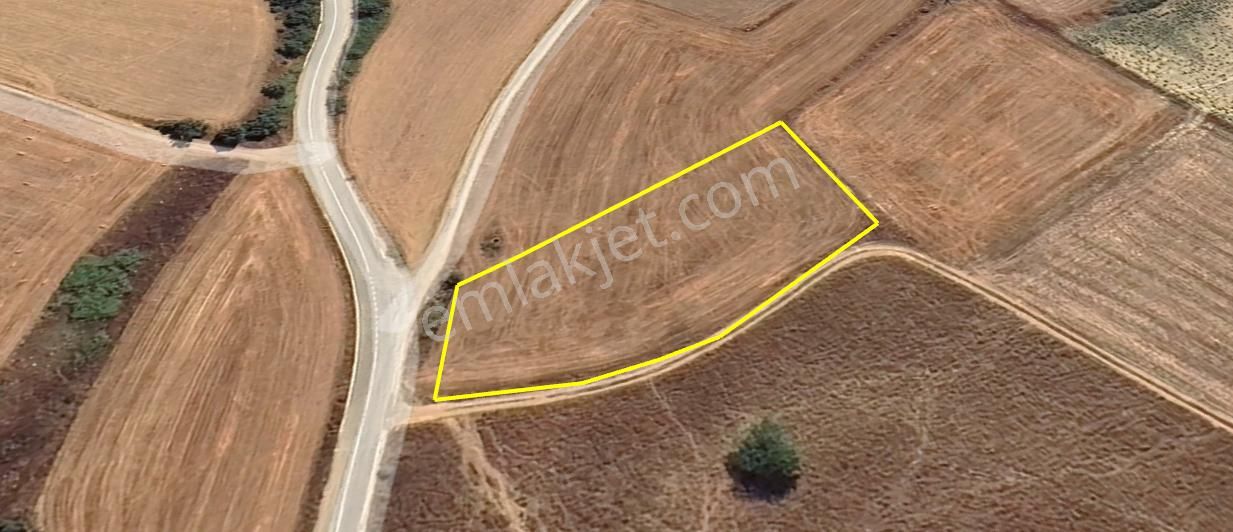 Bursa Yenişehir Hamidiye'de , Fethiye Asfaltına Cepheli - Görsel 6