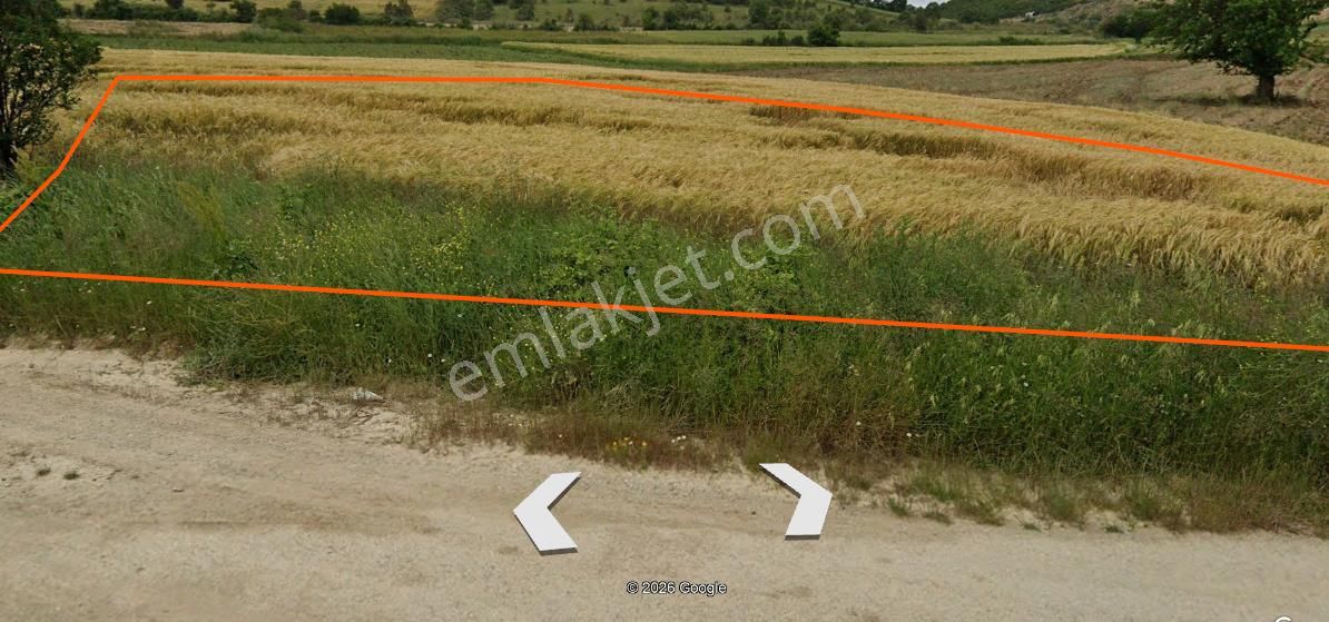 Bursa Yenişehir Hamidiye'de , Fethiye Asfaltına Cepheli - Görsel 13