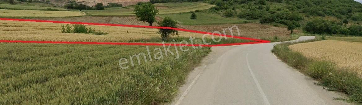 Bursa Yenişehir Hamidiye'de , Fethiye Asfaltına Cepheli - Görsel 10